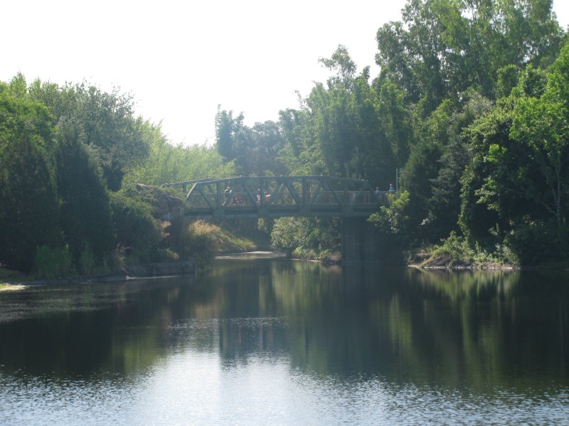 Animal Kingdom 025.jpg